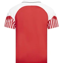 JELEX Equipaciones|Tienda Para Aficionados^Dinamarca 