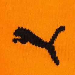 PUMA Tienda Para Aficionados^Grasshopper Club Zúrich Medias de fútbol 750313-02