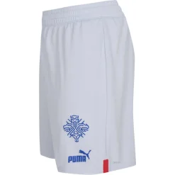 PUMA Tienda Para Aficionados^Islandia Hombre Pantalones cortos de segunda equipación 766069-02