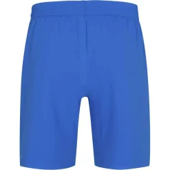 PUMA Tienda Para Aficionados^Islandia Hombre Player Issue Authentic Jugadores Pantalones cortos 705318-01