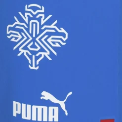 PUMA Tienda Para Aficionados^Islandia Hombre Player Issue Authentic Jugadores Pantalones cortos 705318-01