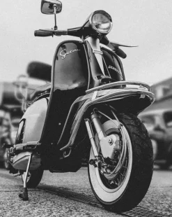 Hombre Lambretta Pantalones Cortos^Hombre Pantalones cortos cargo SS7073-OAT