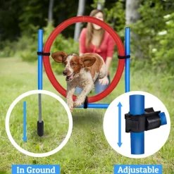 maxxpro Suministros Para Mascotas^Agilidad Spring Ring - Conjunto Agilidad para perros 47433