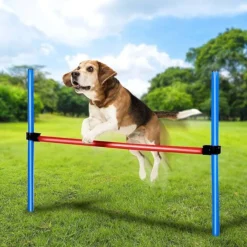 maxxpro Suministros Para Mascotas^Agilidad Spring Stick - Conjunto Agilidad para perros 47432