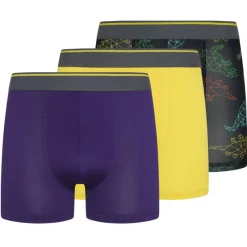 Parker & Fox Multipacks|Ropa Interior Y Calcetines^Parker & Fox Rendimiento Niño Calzoncillos bóxer Pack de 3 PRXFA24B151642-014