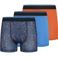 Parker & Fox Multipacks|Ropa Interior Y Calcetines^Parker & Fox Rendimiento Niño Calzoncillos bóxer Pack de 3 PRXFA24B151643-017