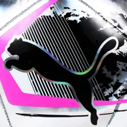 PUMA Balones De Fútbol^Cage Ball Balón de fútbol 084213-01