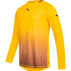 PUMA Ropa Para Porteros|Equipaciones^Hombre Camiseta de portero de manga larga 740208-04