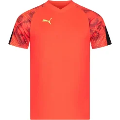 PUMA Equipaciones^individualFINAL World Cup Hombre Camiseta 658211-48