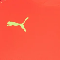 PUMA Equipaciones^individualFINAL World Cup Hombre Camiseta 658211-48