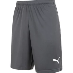 PUMA Ropa De Fitness|Equipaciones^LIGA Training Core Hombre Pantalones cortos 655664-11