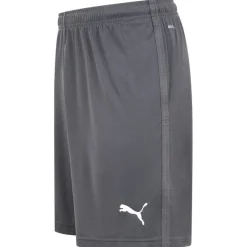 PUMA Ropa De Fitness|Equipaciones^LIGA Training Core Hombre Pantalones cortos 655664-11