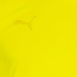 PUMA Voleibol|Balonmano^teamFLASH Hombre Camiseta 704394-23