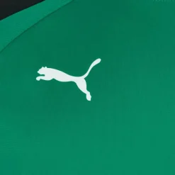 Hombre PUMA Sudaderas Y Jerséis|Equipaciones^teamLIGA Entrenamiento Hombre Sudadera 657238-05