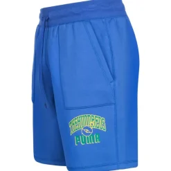Hombre PUMA Colabos|Pantalones Cortos^x THE HUNDREDS Hombre Pantalón corto reversible 598451-89