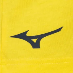 Mizuno Tienda Para Aficionados^S.S. Lazio Hombre Camiseta P2GABX72-43