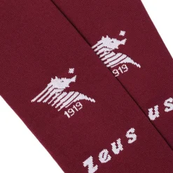Zeus Tienda Para Aficionados^US Salernitana 1919 Medias de primera equipación rojo oscuro